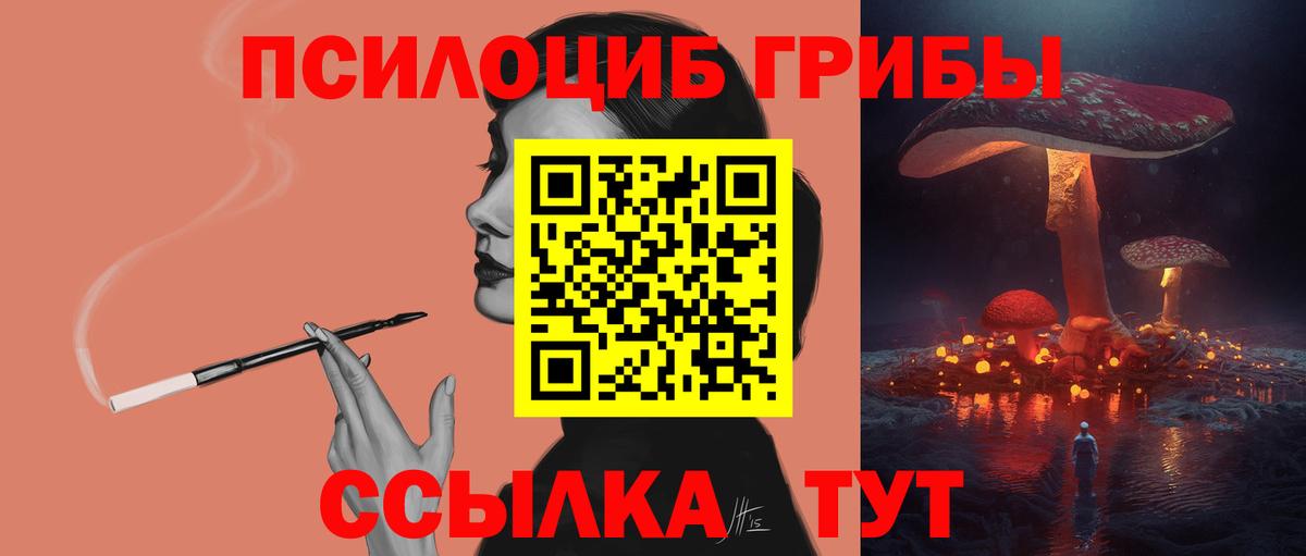 Псилоцибиновые грибы мицелий Усть-Джегута